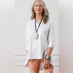 Soft Surroundings Landmark Tunic Top